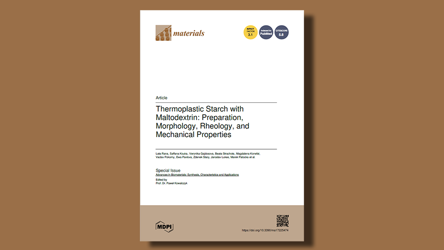 Enhancing Thermoplastic Starch with Maltodextrin: Key Properties and Performance Insights