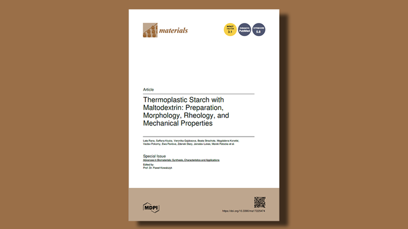 Enhancing Thermoplastic Starch with Maltodextrin: Key Properties and Performance Insights