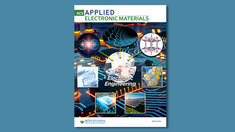Impact of Electron Irradiation on WS2 Nanotube Devices