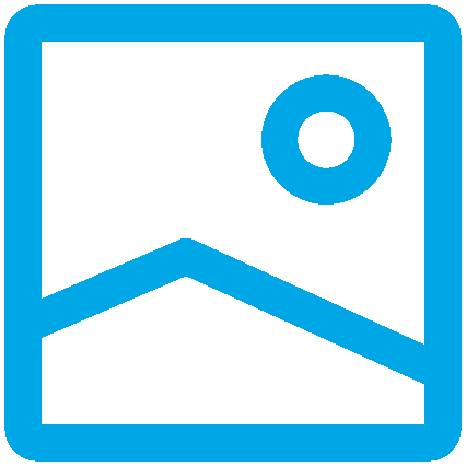 LiteScope AFM-in-SEM applications