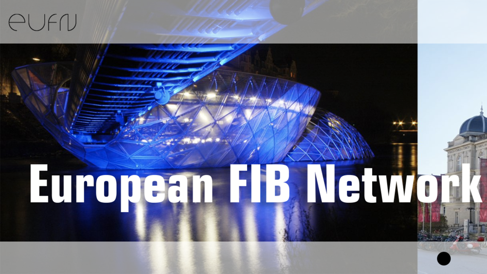Meet us at the European FIB Network Workshop 2019!