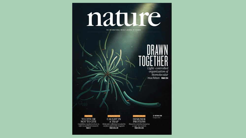 New article published in Nature: International Journal of Science