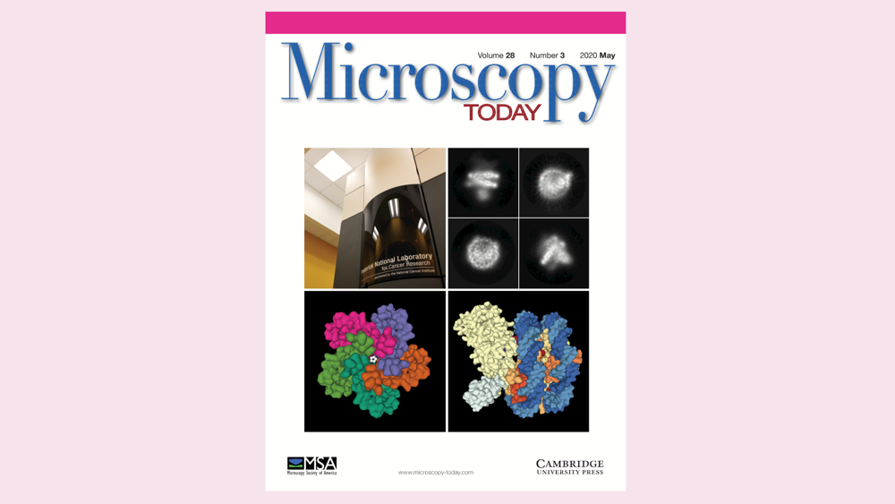 NenoVision article in Microscopy Today Volume 28 Issue 3