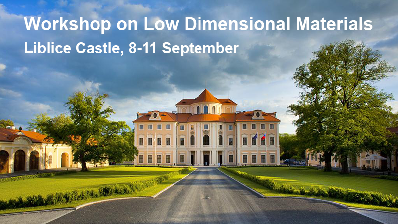 Meet us at the Workshop on Low Dimensional Materials