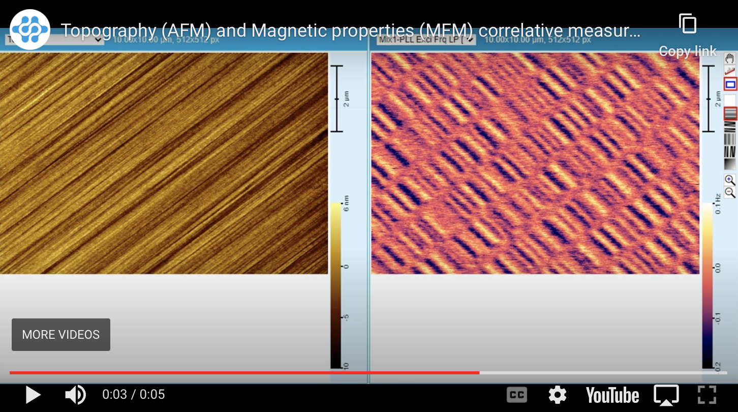 MFM measurement AFM-in-SEM