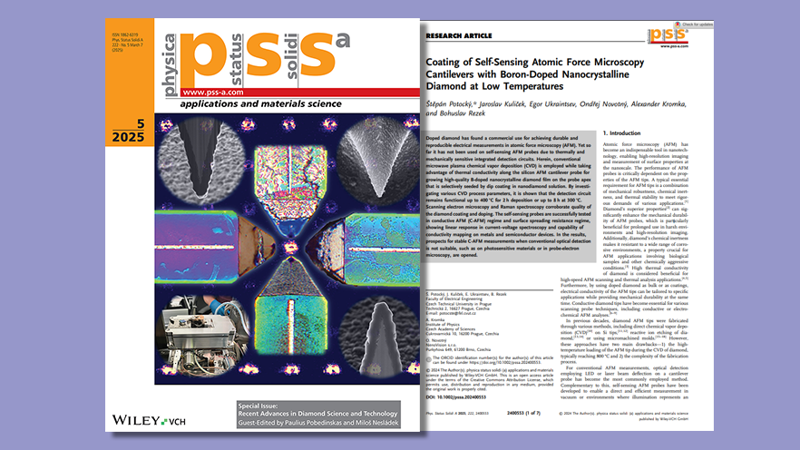 AFM-in-SEM LiteScope on the Cover of a Key Study on Diamond-Coated Probes
