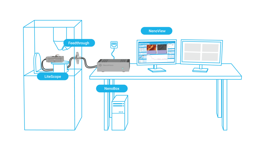 LiteScope AFM-in-SEM setup