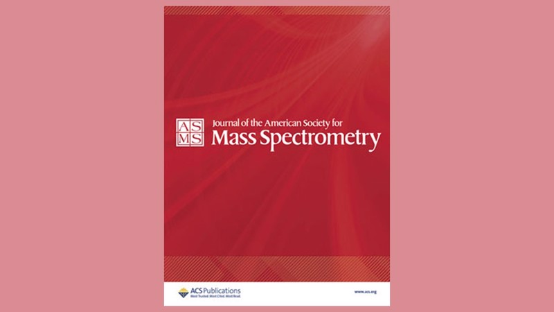 Fate of Gold Nanoparticles in Laser Desorption/Ionization Mass Spectrometry