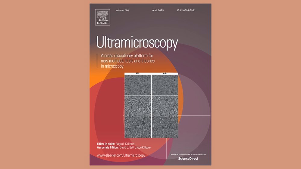 Correction of AFM data artifacts using a neural network